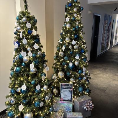 Senioren Wunschbaum 1